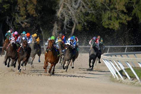 Fastest Horses of All Time: The Top 5 .
